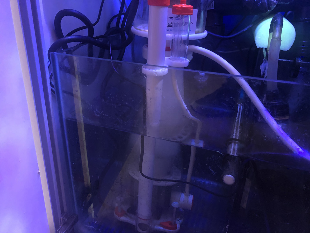 B0680DB1-B376-46FA-BF10-48A641AEC0D9