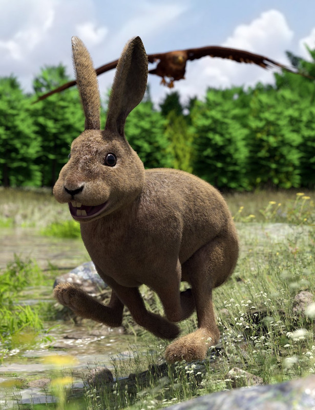 Caesar the Hare for Daz Dog 8