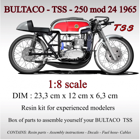 Maqueta TSS 250 Bultaco-TSS-24-agua