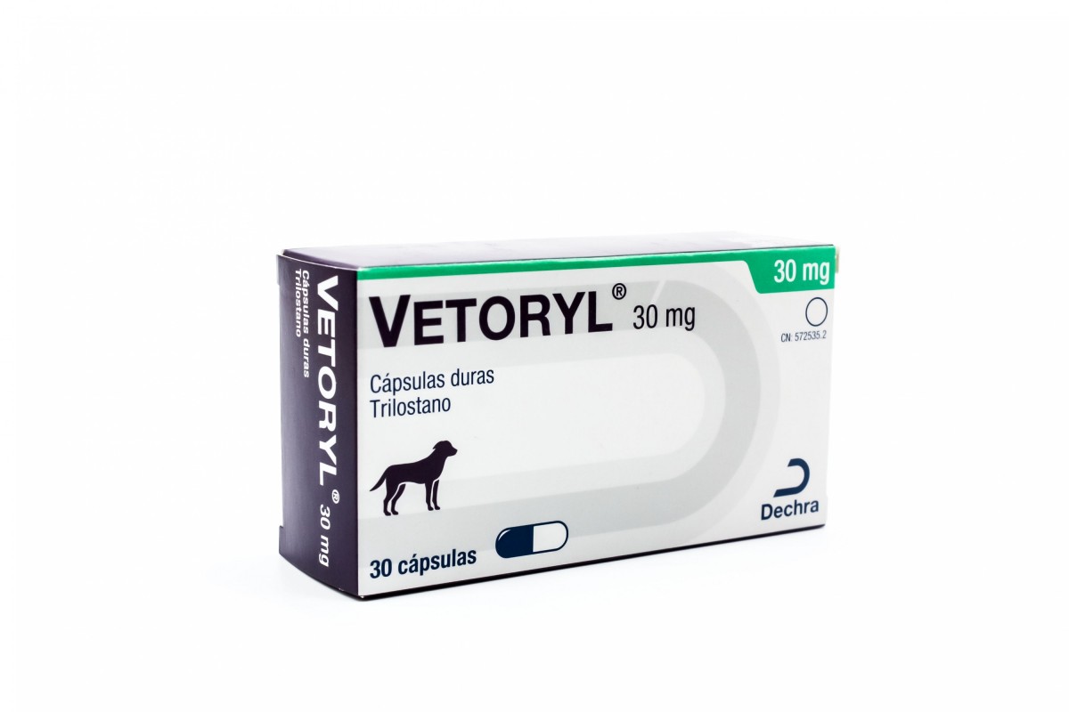 B5AD7D0D-1A9D-4C2D-B62D-BE50F3B77AAB