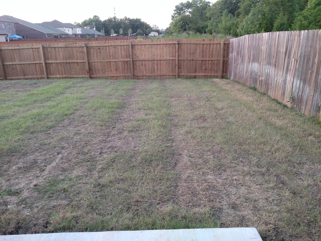 IMG_20160824_192554607