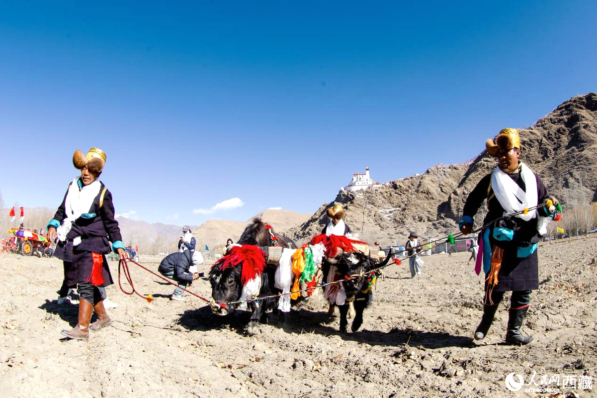 LOCAL1742203493489LNNKFUAOR1