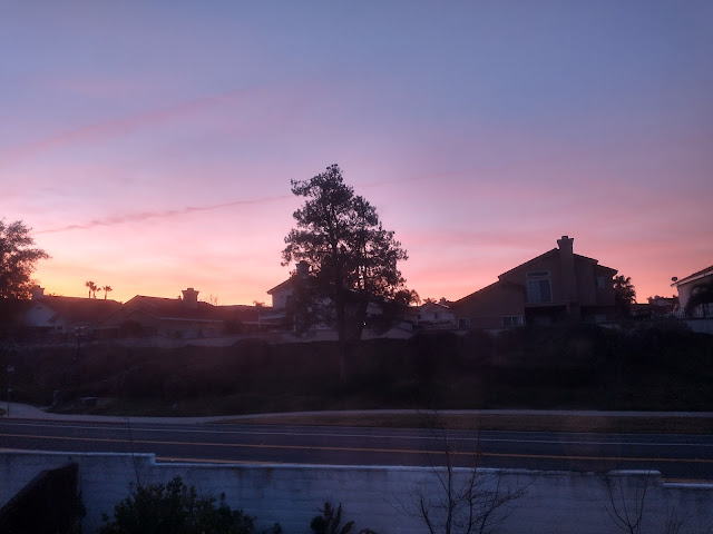 [Image: IMG-20230113-063734772-HDR.jpg]