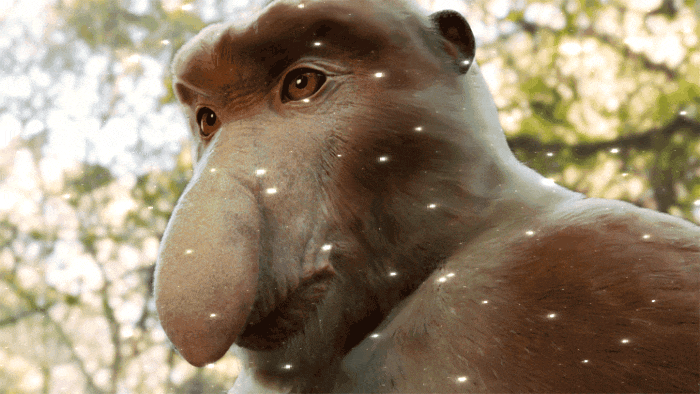GIF-20260808-163851-098.gif
