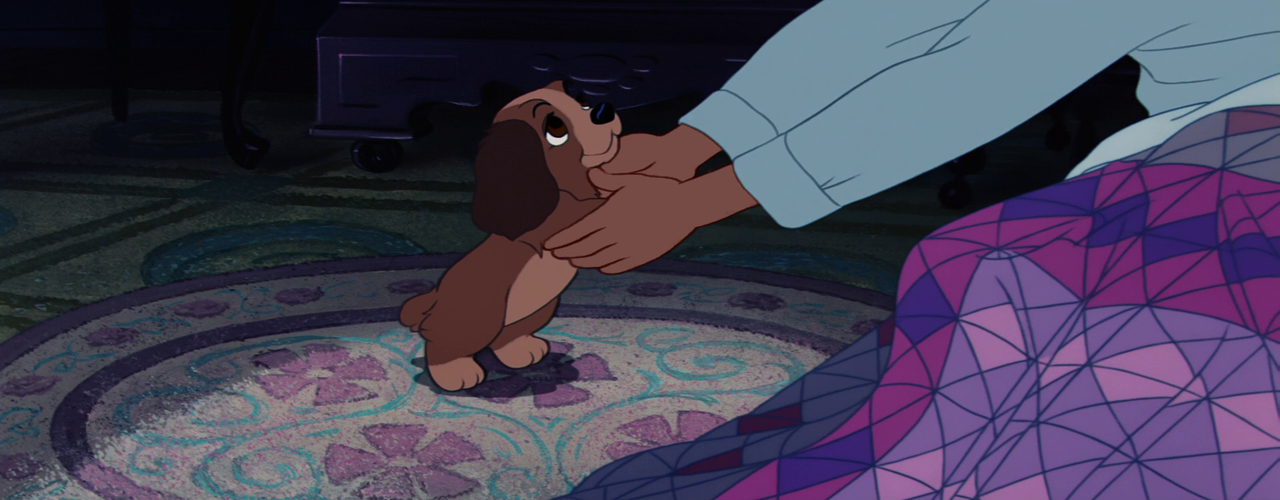 vlcsnap-2023-12-08-18h16m15s111