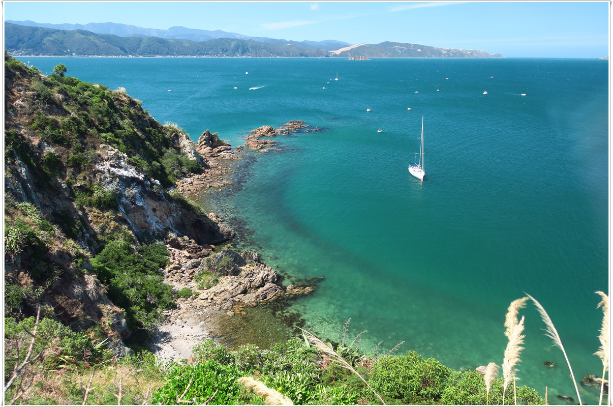 Escapadas y rutas por la Nueva Zelanda menos conocida - Blogs de Nueva Zelanda - Wellington más allá del Te Papa y el Cable Car (38)