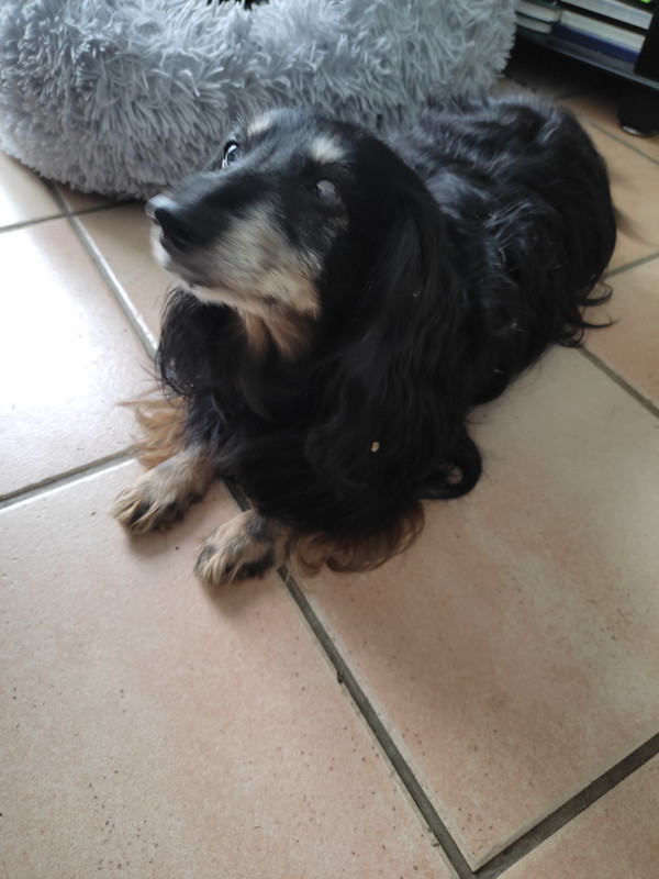 [Image: IMG-20210806-154919.jpg]