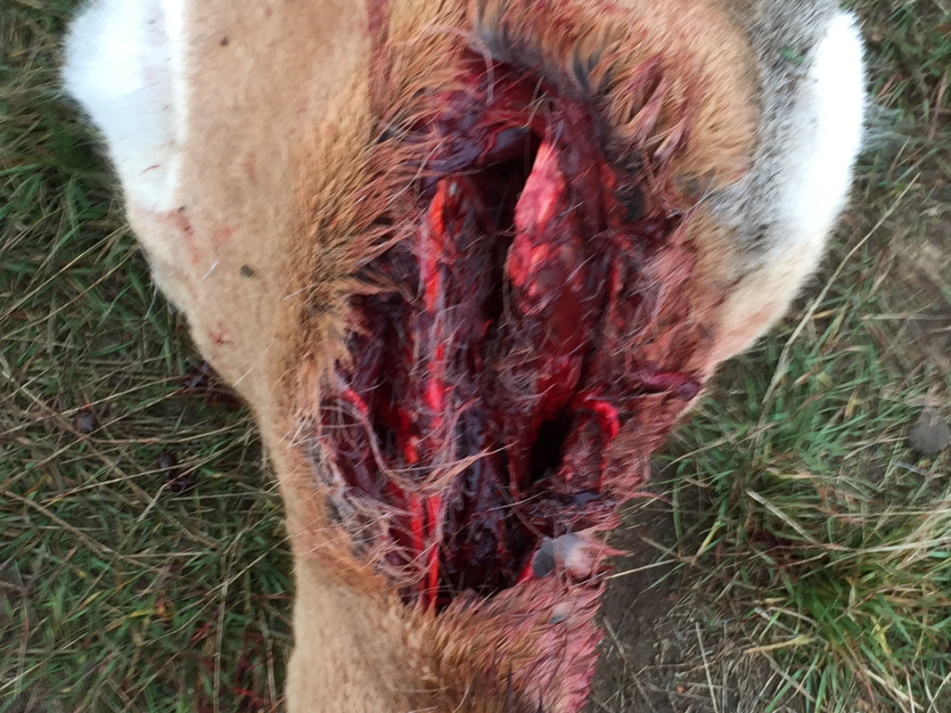 977EAC98-7879-45D0-BD60-C610BFD81E14