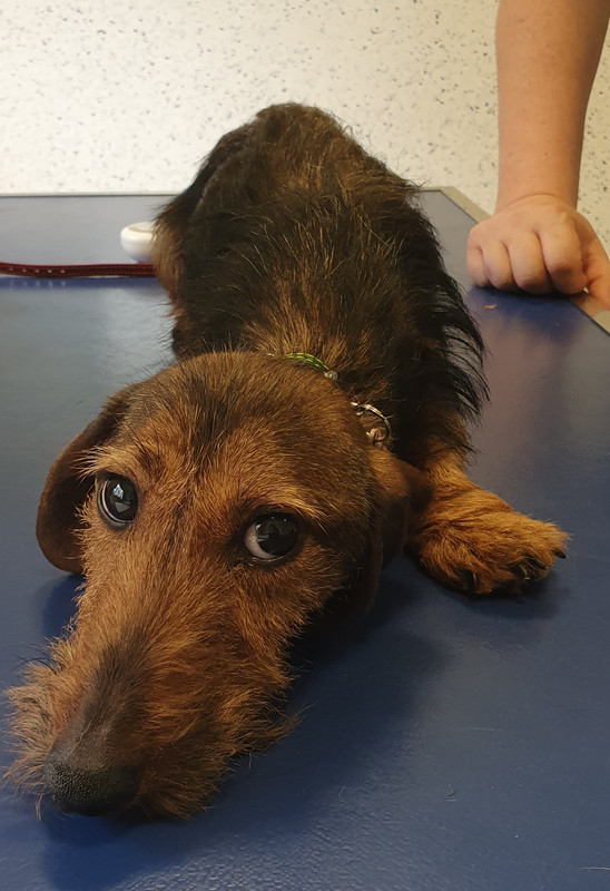 [Image: 20230509-185856.jpg]