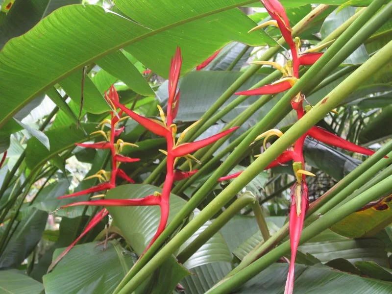 816697e956c544c4b45ab44bea632782