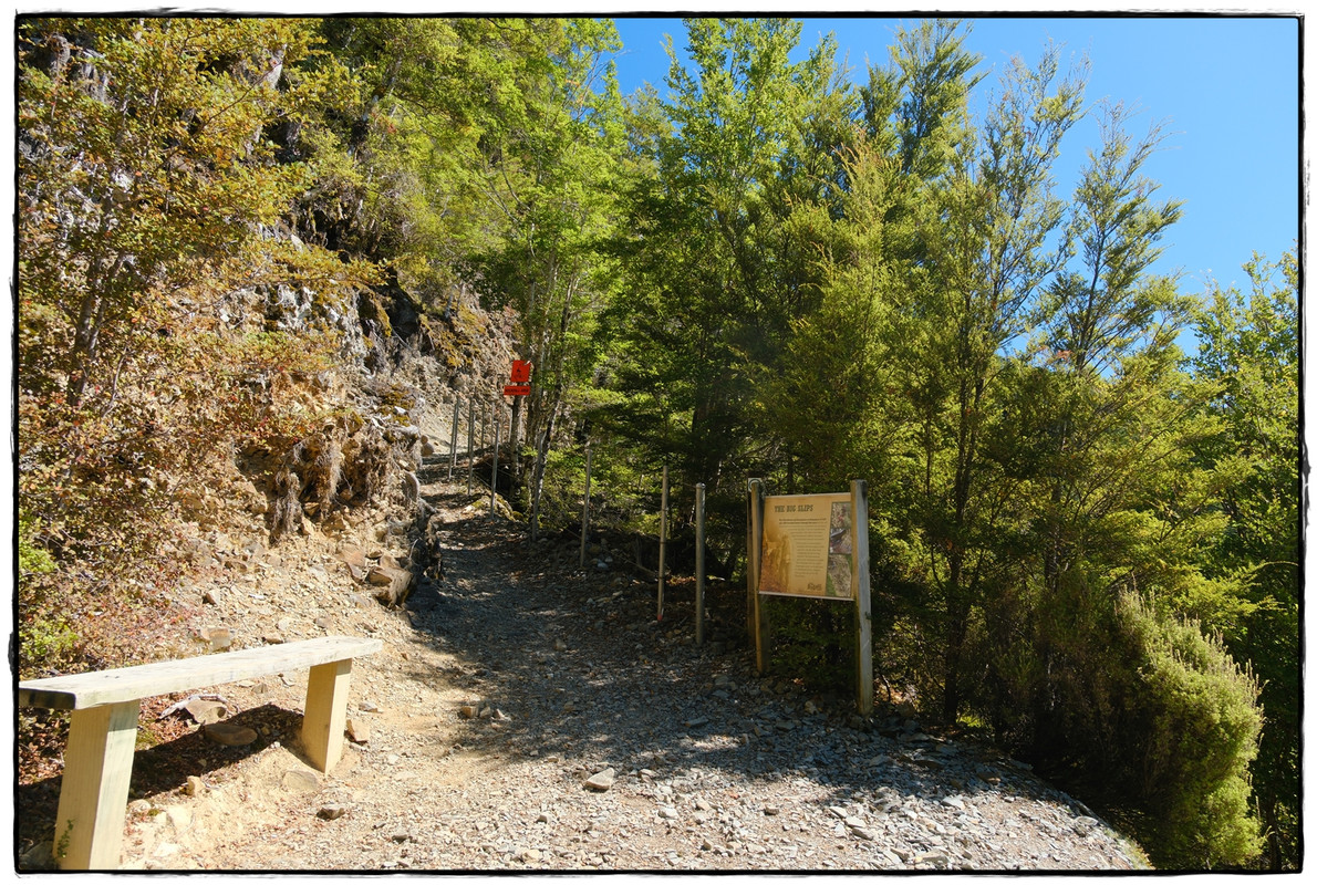 The Old Ghost Road (marzo 2024) - Escapadas y rutas por la Nueva Zelanda menos conocida (12)