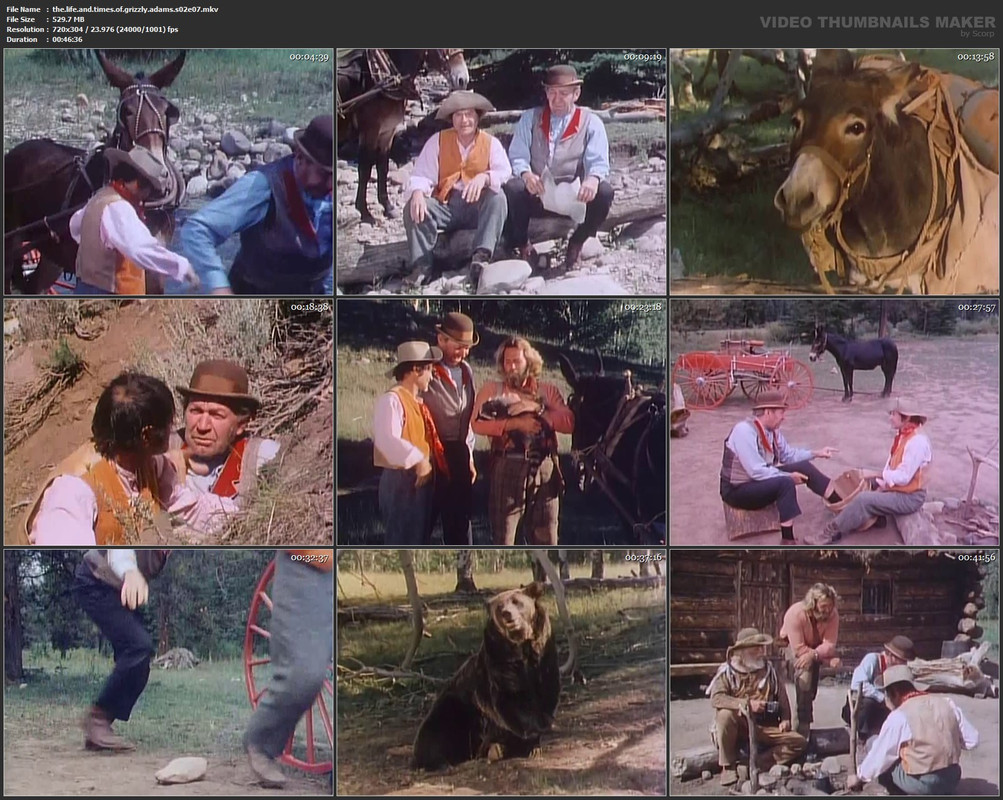 the.life.and.times.of.grizzly.adams.s02e07.mkv