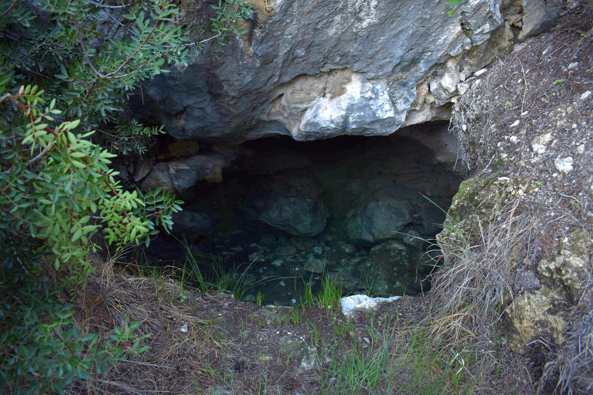 Ιερό του Διονύσου (2)