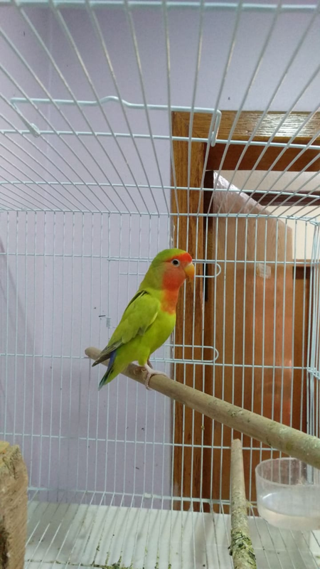 Screenshot_٢?١٩-?٦-?٩-?٤-٣٣-?١-٢٣٢_com.whatsapp