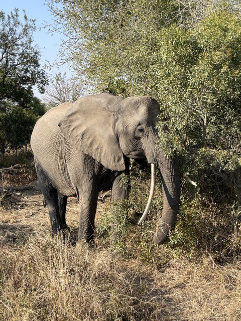 [Linked Image from i.postimg.cc]