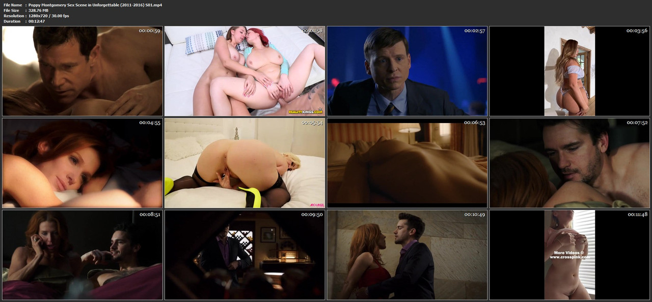 Poppy Montgomery Sex Scene in Unforgettable (2011-2016) S01.mp4