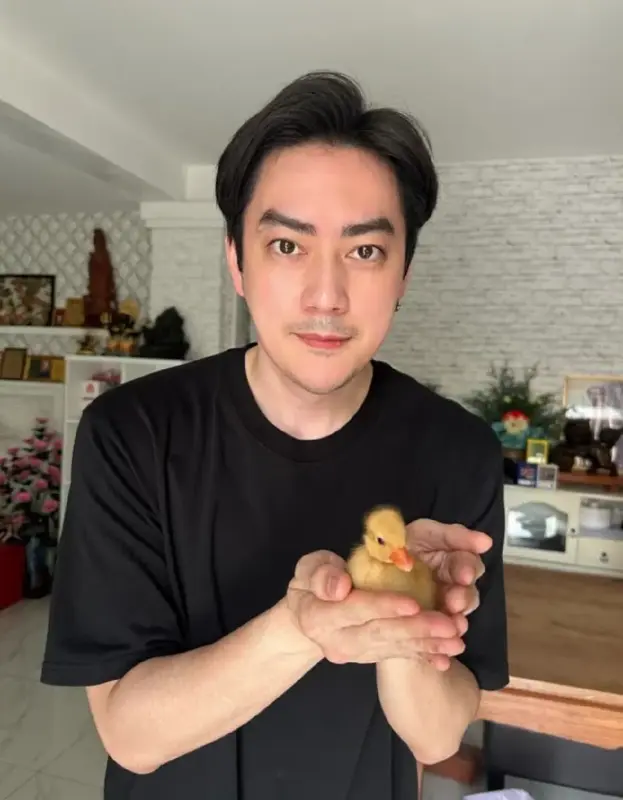 4m-Wc-P1q-Z5u-ALPI4djow-W