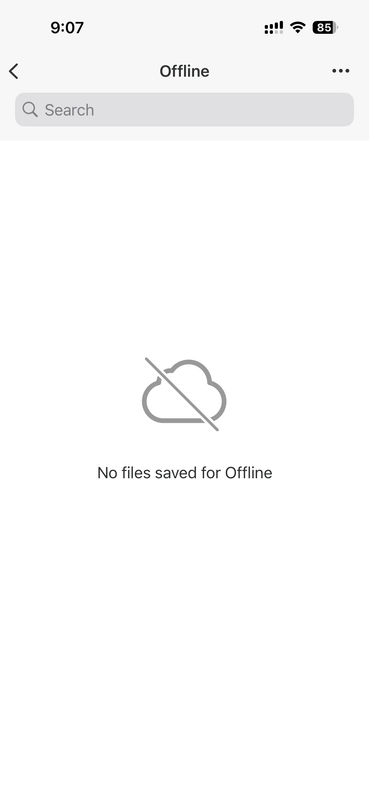 20251107 160755000 i OS