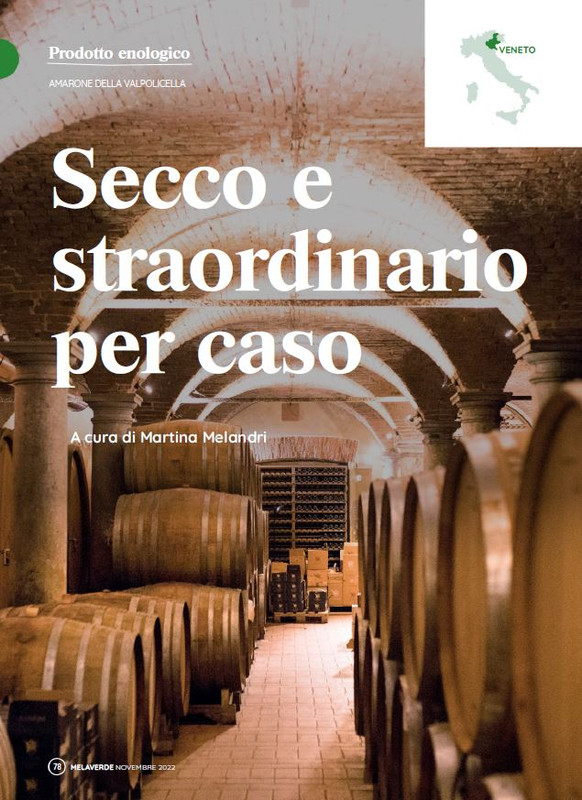 melaverde Nov 2022 (11)