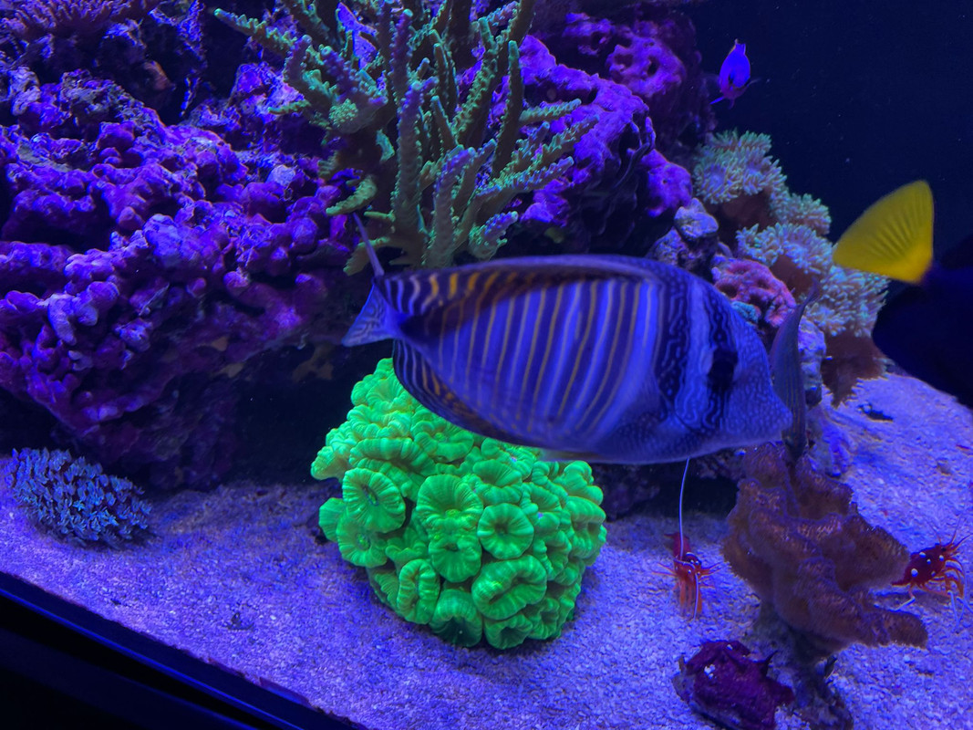 ECD5B837-5A73-4583-A5BC-DCE9BCE85866