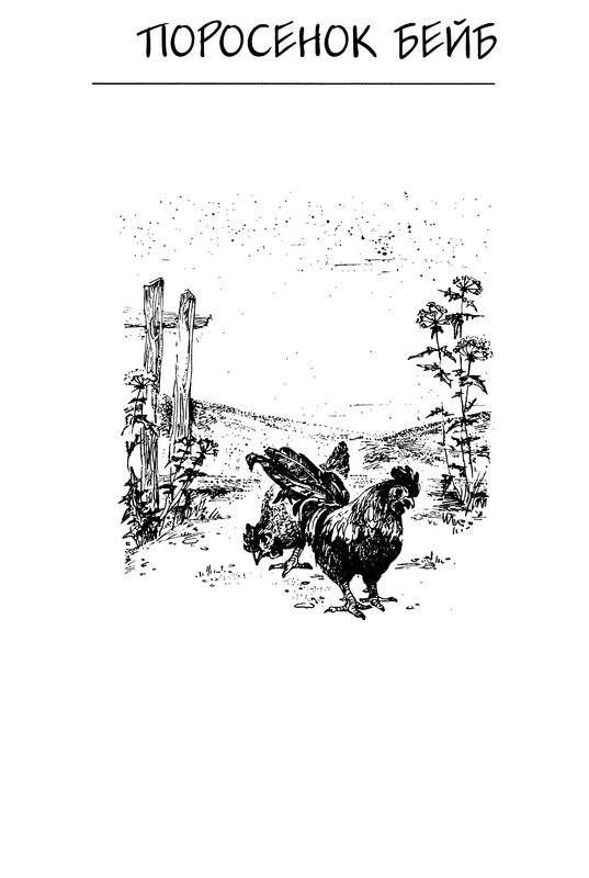 p0144