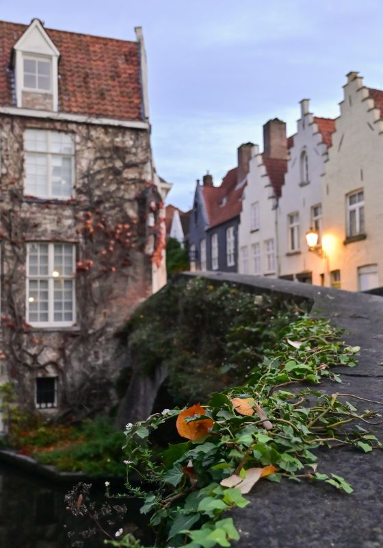 Día 3 (I): Amanecer en Brujas y paseo en barca por el canal. - Otoño en Flandes (3)