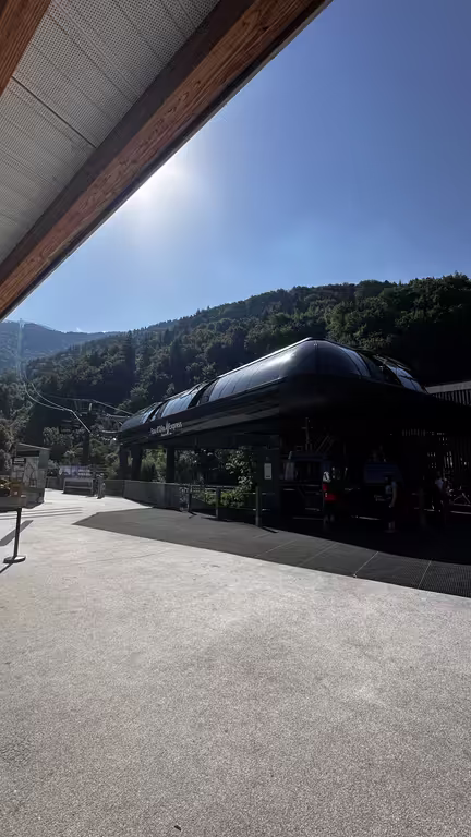 https://i.postimg.cc/5yNxDBWN/IMG-9483.avif
