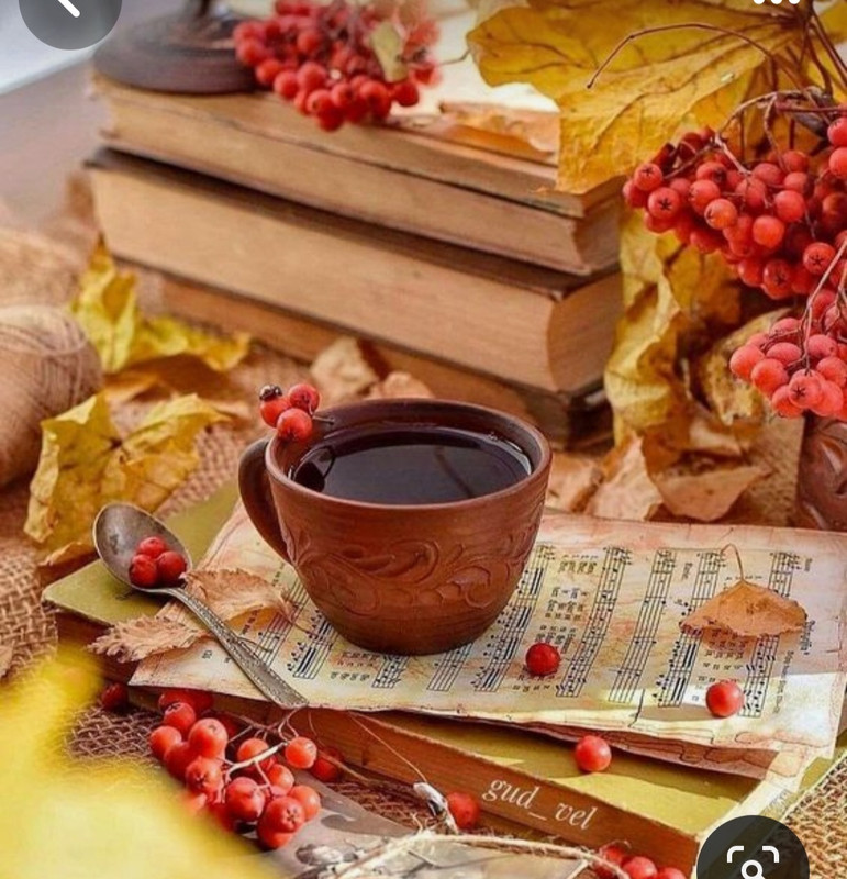 Screenshot_20230905_020300_Pinterest