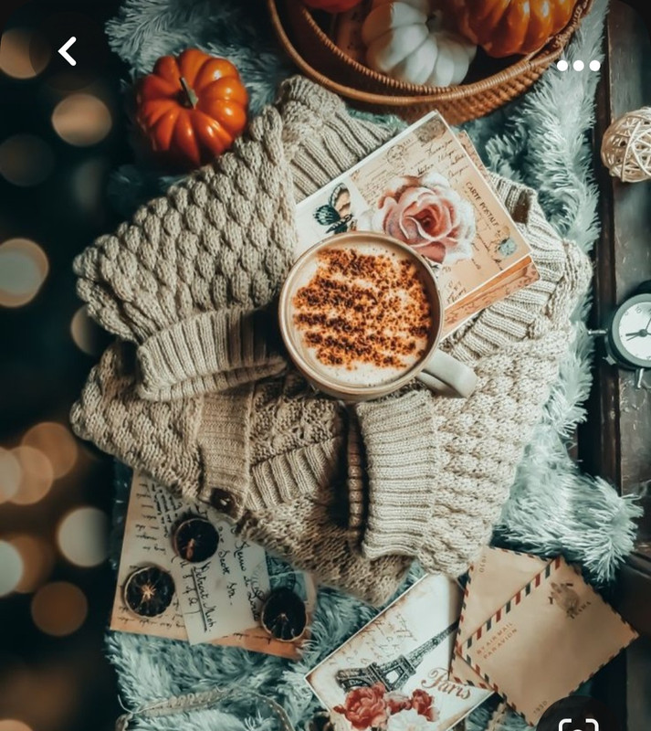 Screenshot_20231008_224235_Pinterest