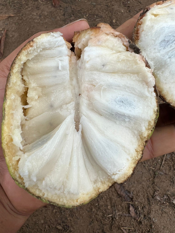 WhatsApp Image 2022-02-15 at 10.09.23 (1)