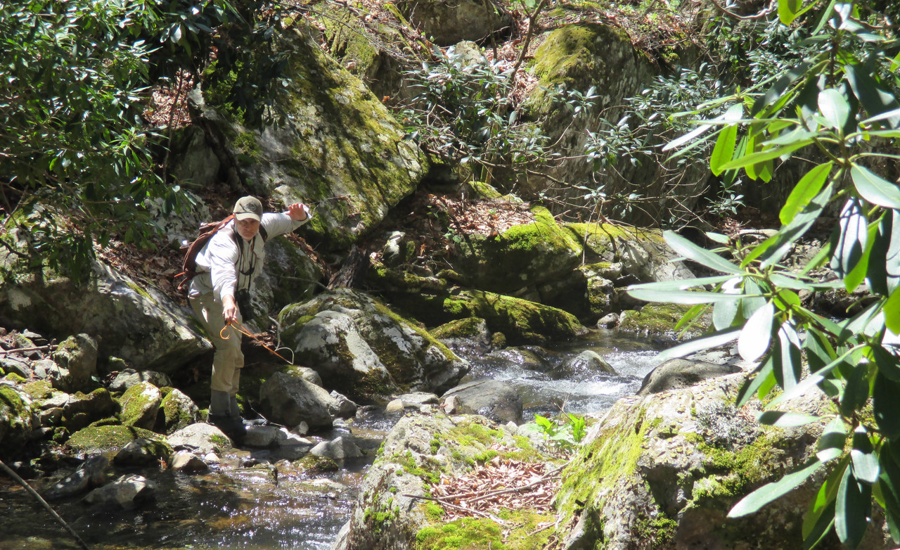 A Perfect Cast on Cabin Creek
