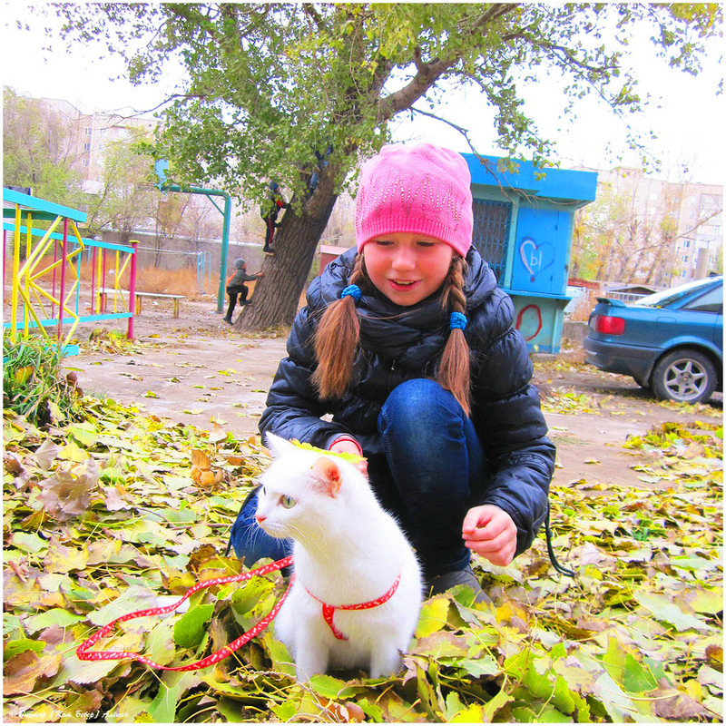 IMG-0024