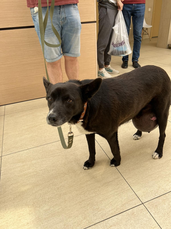 4A5C82EE-9F39-4F4B-A728-D0030898E192