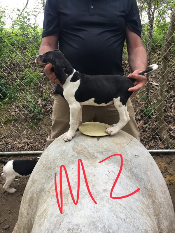 164CEFA3-66F6-42CD-A845-BDDB7775E795