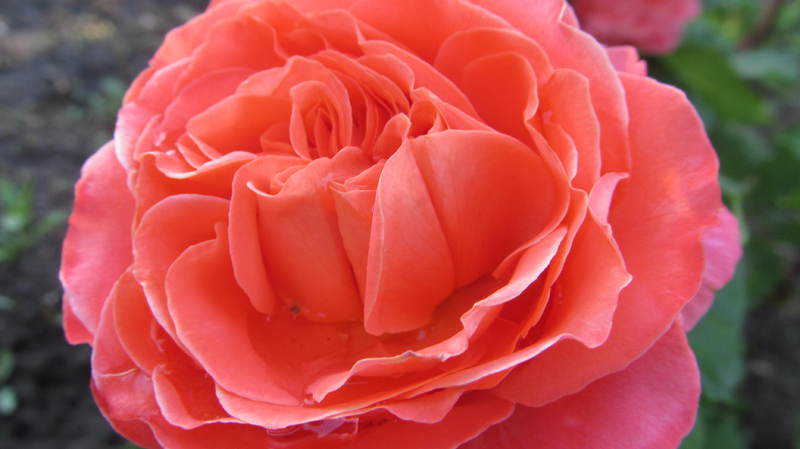 018