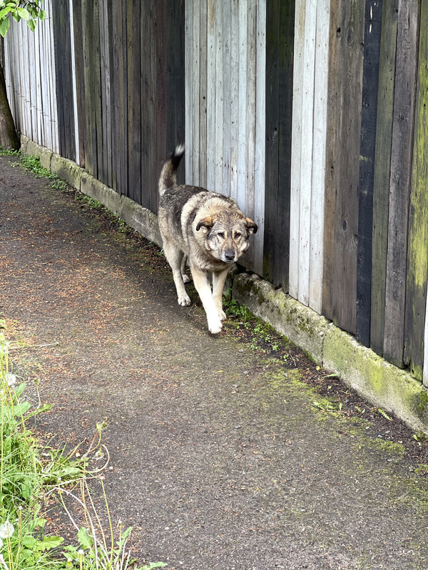 B173AABD-6278-4C8D-8AE7-771ED81144F8