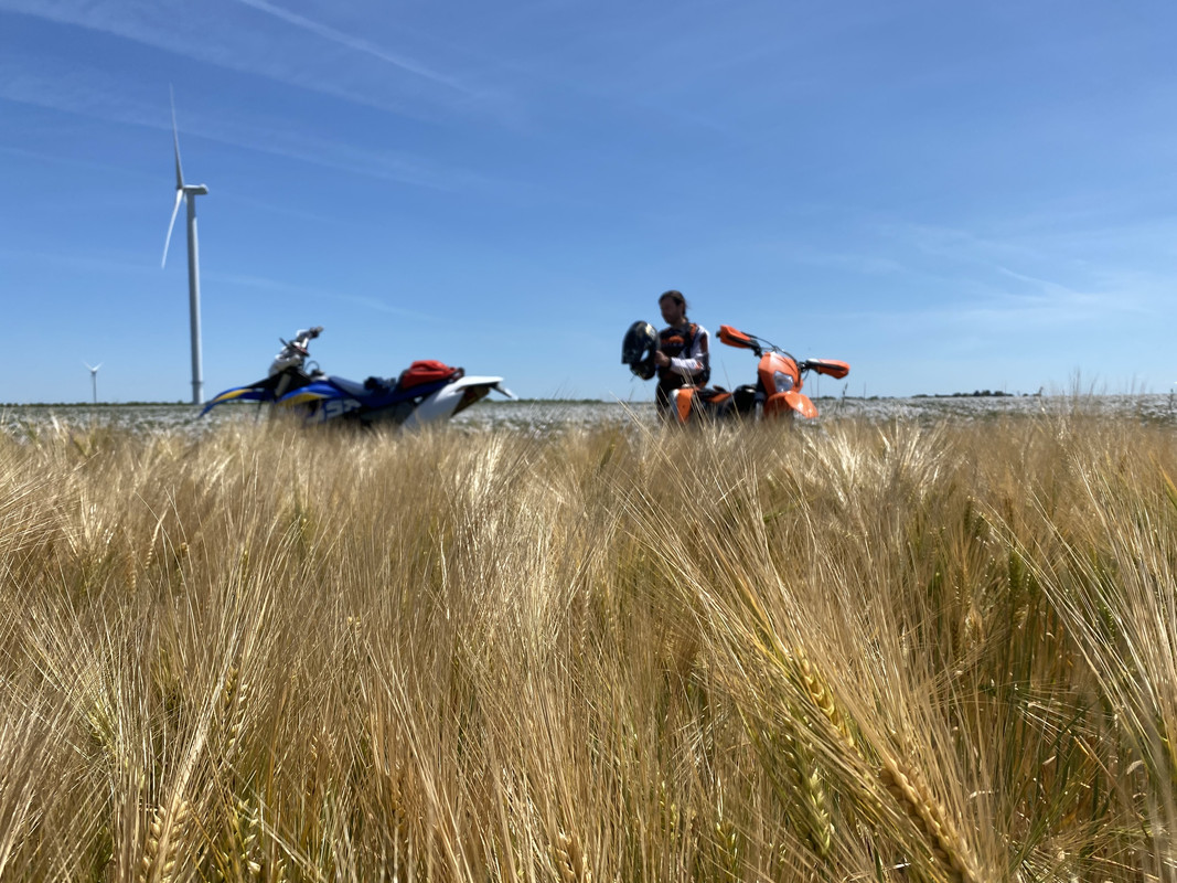 3B7D5897-2D24-44D5-9523-4EBC48A88443