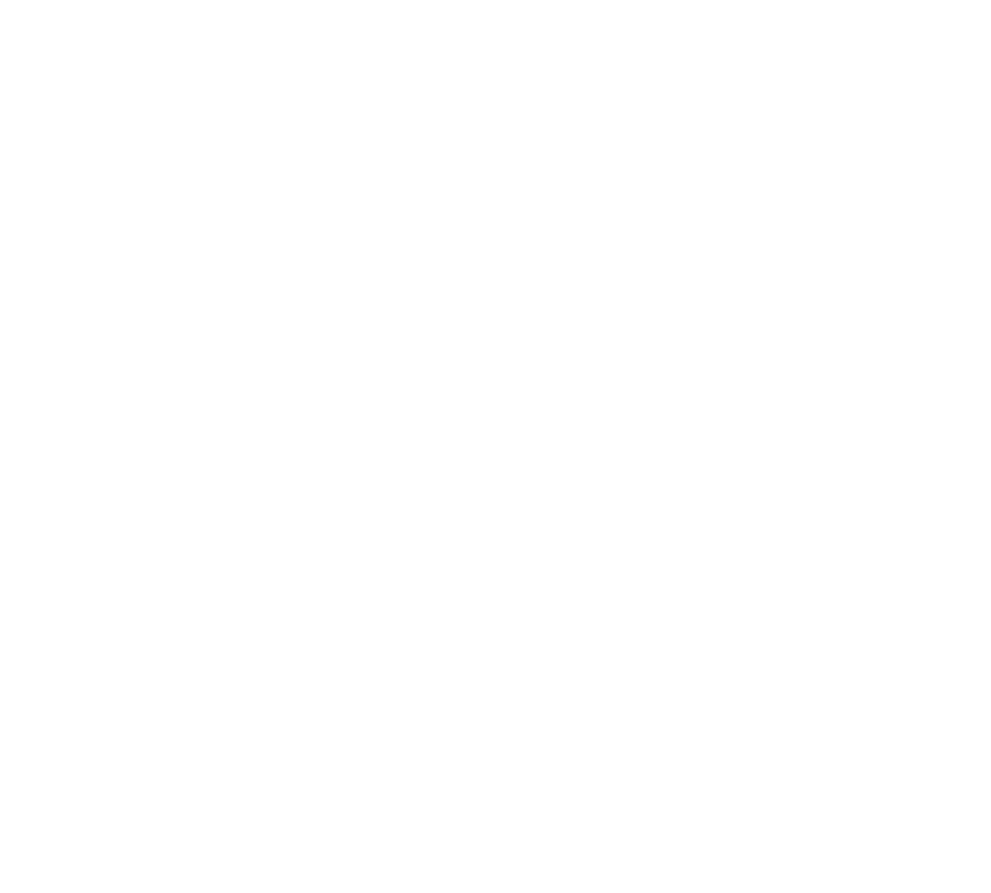 Sentraverse official logo