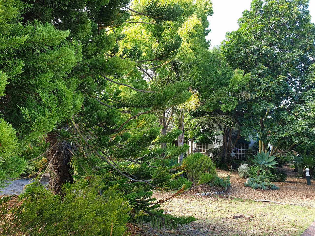 Jardin du domaine