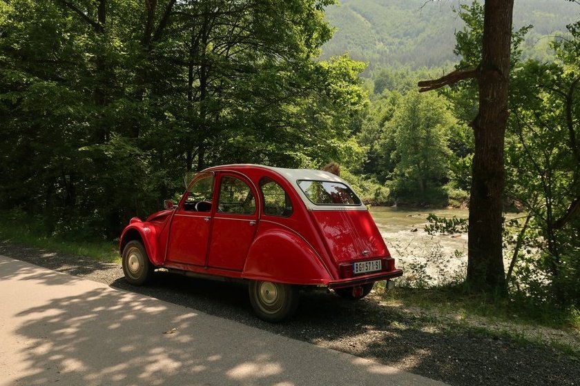Travnik2019