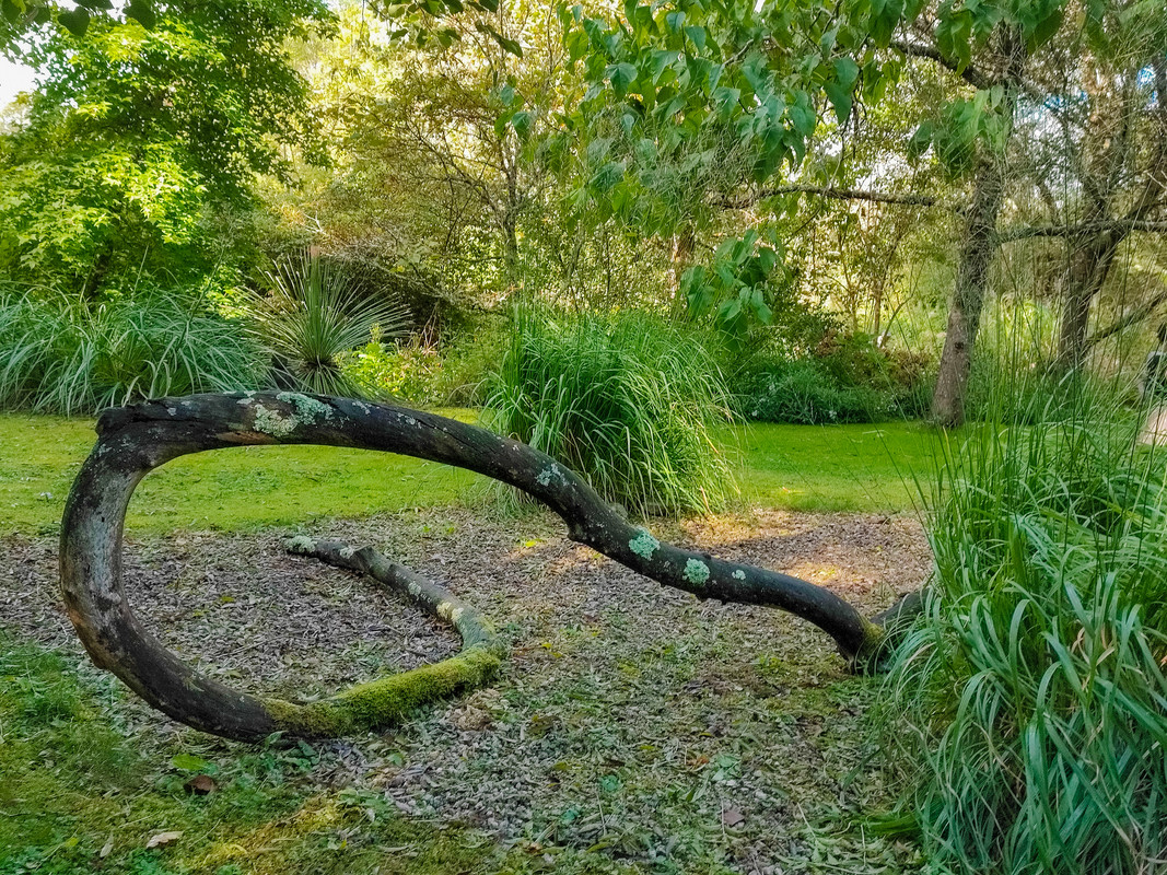 Branche de hormeau