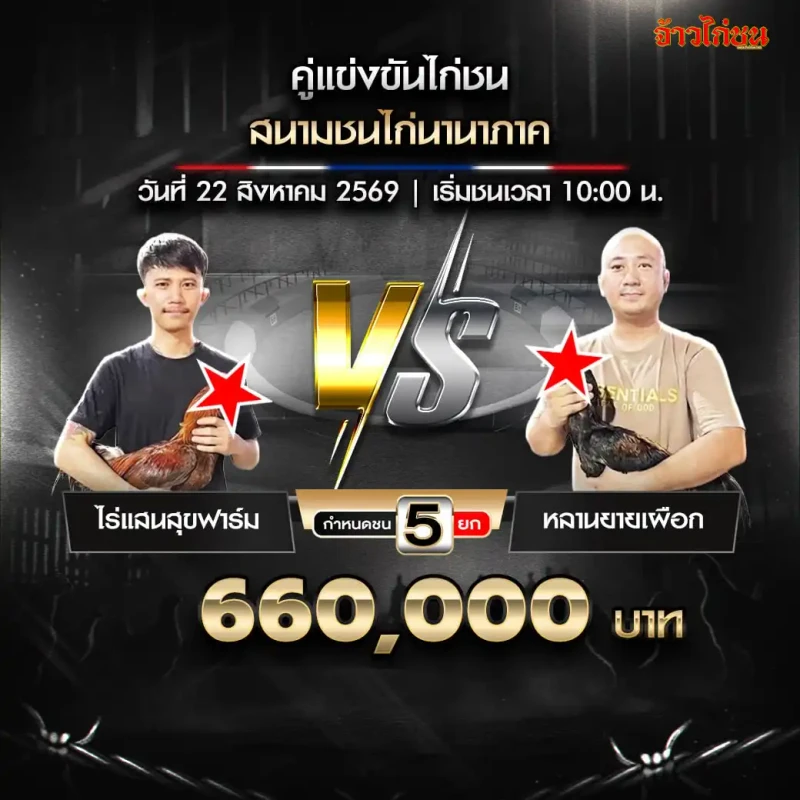 ไร่แสนสุขฟาร์ม พบ หลานยายเผือก สนามชนไก่นานาภาค 22 สิงหาคม 2569