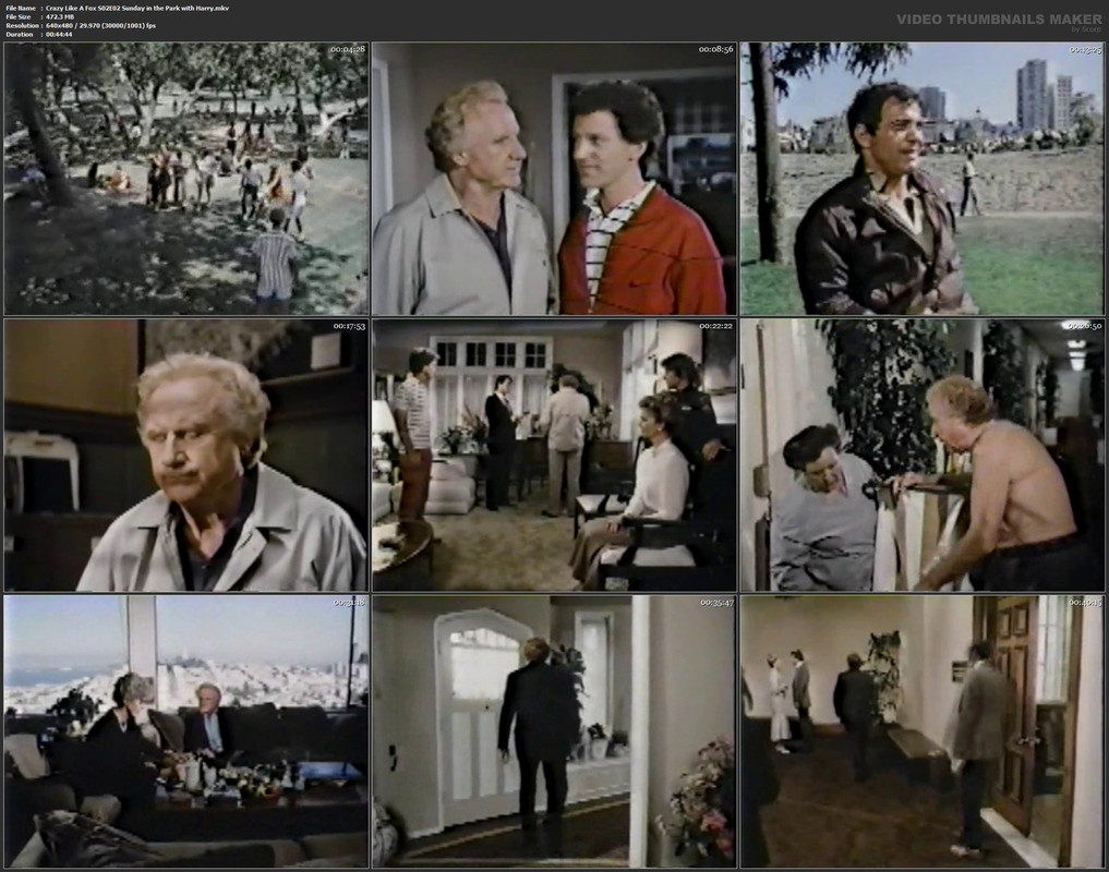 Crazy Like A Fox S02E02 Sunday in the Park with Harry.mkv