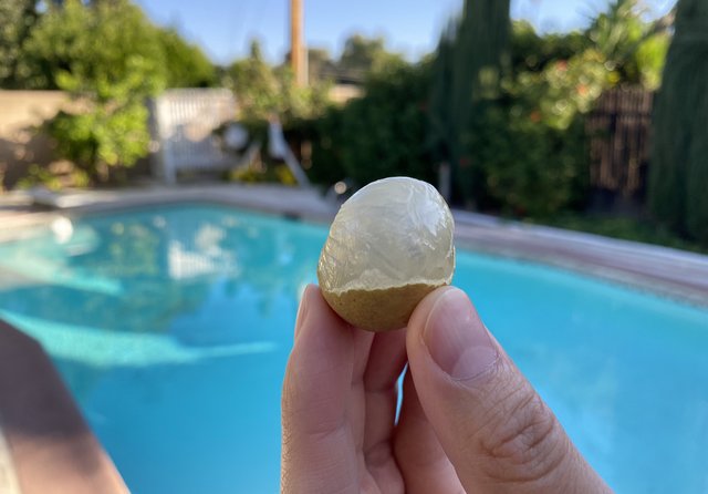 [Image: 6-BC19-B3-E-FEF4-4655-9-F54-10-D2-BBEE78-A9.jpg]