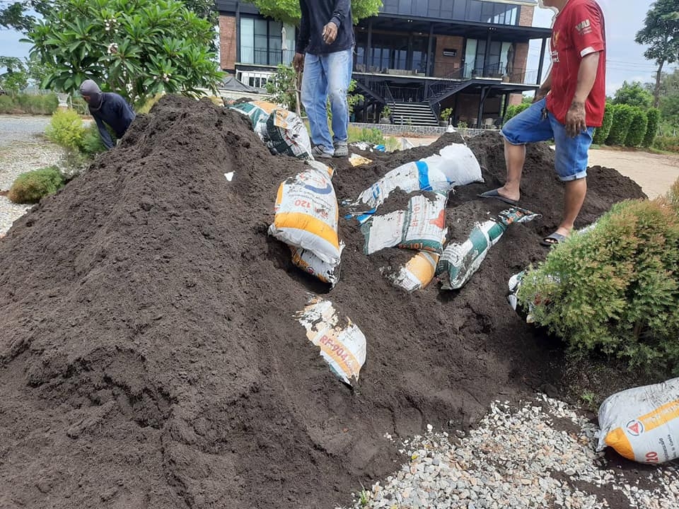 ดินปลูก_๒๐๐๙๒๕_6