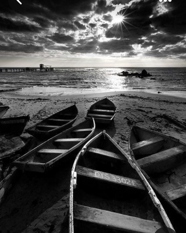 Screenshot_20230331_002447_Pinterest