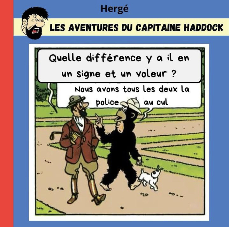 Les aventures de Tintin (détournement) - Page 4 2024-05-07-tintin-01