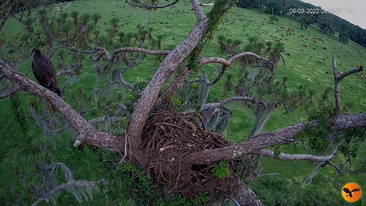 EC 4K Overhead Cam 12-35-59 screenshot