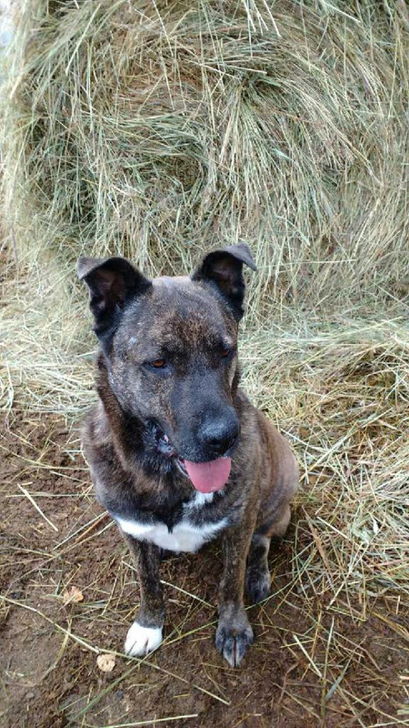 A8FC1E17-24E0-4CDF-9992-500382F678FB