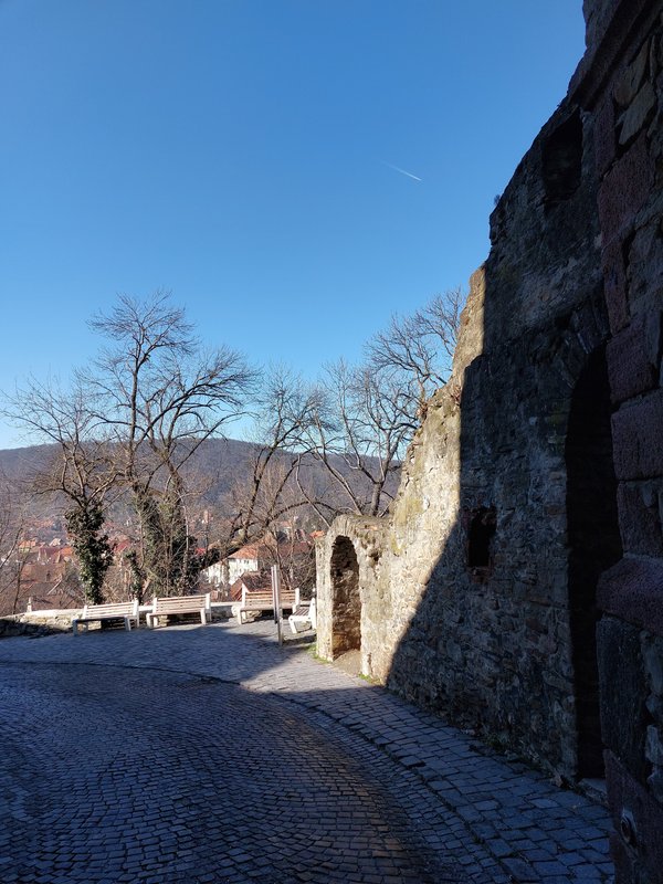 Slika